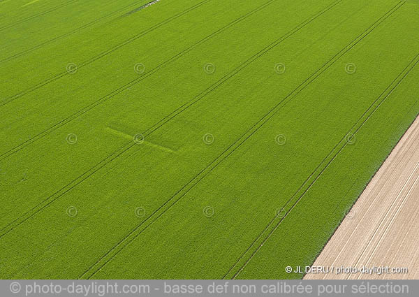 agriculture - Hesbaye